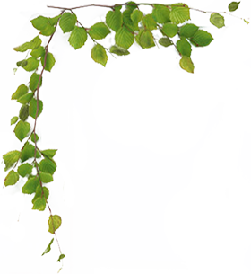 はり灸・整体・足つぼ・酸素カプセル