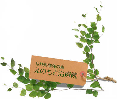 えのもと治療院（東京都墨田区）